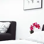 Laura Apartmanhaz Appartement